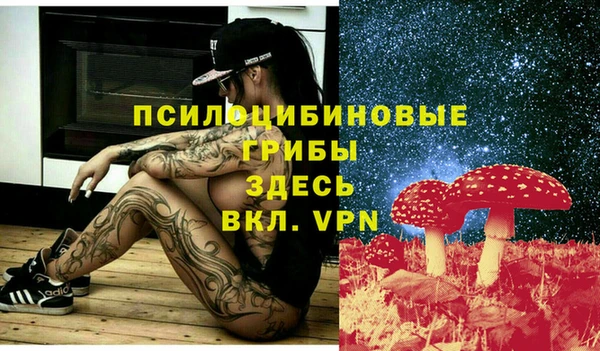 дмт Аркадак
