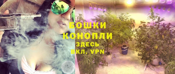 дмт Аркадак