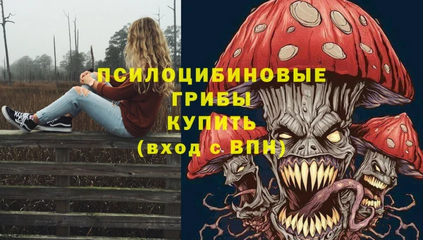 дмт Арсеньев