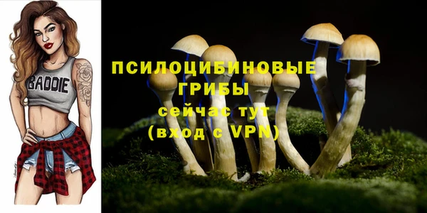 дмт Аркадак