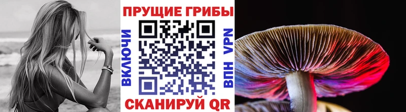 Псилоцибиновые грибы Psilocybe Дыгулыбгей