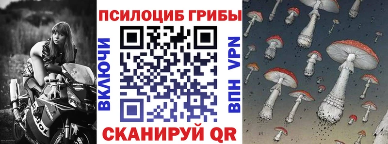 shop какой сайт  Дыгулыбгей  Псилоцибиновые грибы мухоморы  как найти закладки 